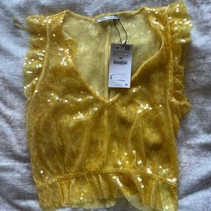 Zara sheer sequin top, sleeveless. Never worn, excellent condition.